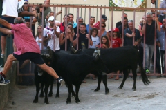 27_08-bandido-12