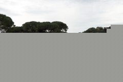 08_Canicross