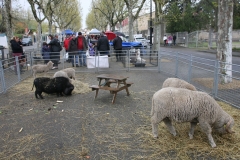 05_ambassadeur-terroir-18_03
