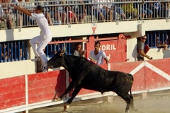 01_TRIDBULL_Le Grau-du-Roi