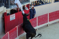 03_TRIDBULL_Le Grau-du-Roi
