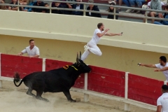 10_Cupidon(Lautier)_Robert