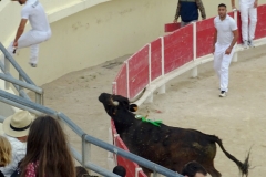 11_Arrogant(Daumas)_Errik