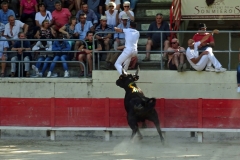 06_Pirate (manade Blatière-Bessac)