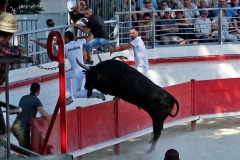 03_Mousquioun_Charrade