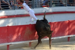 05_Araujo_Aliaga