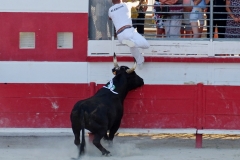 07_Aptel_Alarcon