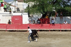 03_Ecole de raseteurs