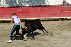 04_Ecole de raseteurs