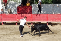 05_Ecole de raseteurs