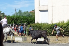 05_Abrivado_Costière
