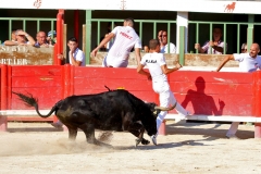 01_Attila-Aliaga