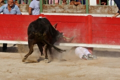 02_Queyras_Dumont