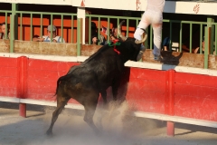 04_Landié_Félix
