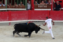 06_Pourpier_Zékraoui