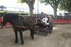 cailar saladelle 01