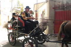 cailar saladelle 04