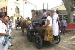 cailar saladelle 06