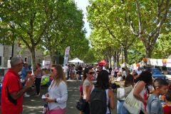 01_Forum des associations