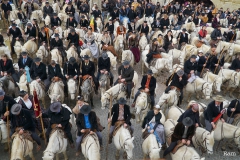Chevaux 01_opt
