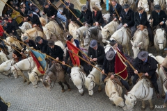 Chevaux 02_opt