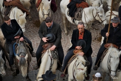Chevaux 03_opt