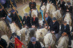 Chevaux 04_opt