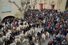 Chevaux 05_opt