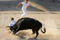 Cupidon_sur_Zekraoui