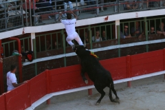 Marengo_sur_Zekraoui