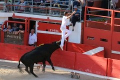 Marengo_sur_Zekraoui2