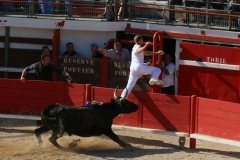 Muiron_sur_Robert