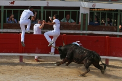 Vincent_sur_Felix