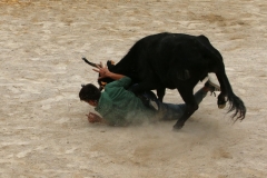 Vachette_12_05-05
