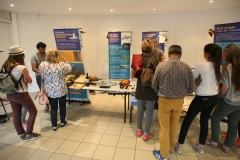 Stand-GC-LR
