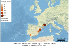 Carte_Controles_ibis