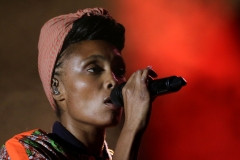 Imany-14