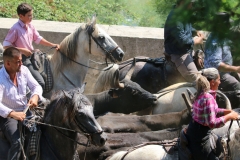 abrivado-tourradon-10
