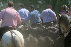 abrivado-tourradon-5