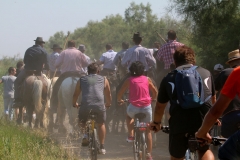 abrivado-tourradon-6