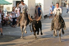 bandido-01