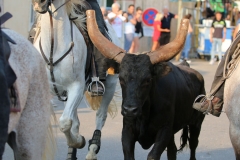 bandido-04