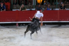 11_08-ouverture-fete-09