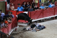 11_08-ouverture-fete-10