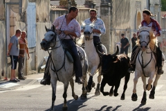 11_08-bandido-01