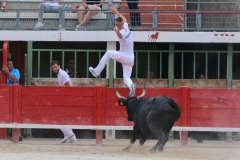 Trophée-vigneron-05