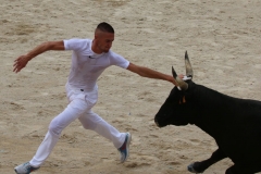Trophée-vigneron-06
