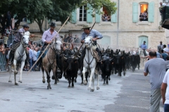 bandido-50-taureaux-01