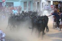 bandido-50-taureaux-02