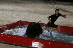 toro-piscine-01
